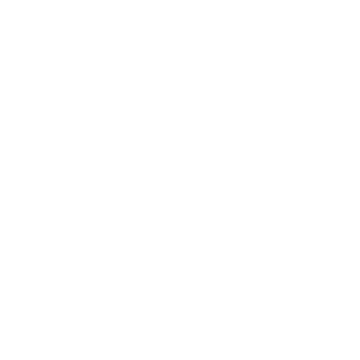 Segurança